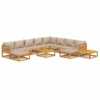 Set Muebles Jardín 12 Pzasy Cojines VidaXL