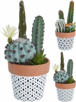 Surtido Planta Artificial CACTUS MACETA