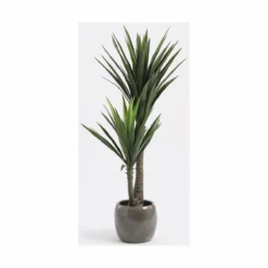 Planta Decorativa Mica Decorations Yucca (120 X 60 Cm) 15 Planta Decorativa Mica Decorations Yucca (120 X 60 Cm) -Conforama Tienda de ventas 13a8475898ec53d65fb7e01205ba65ed07cd59fc 79ffdb04243f47379a3fe482cda14e20