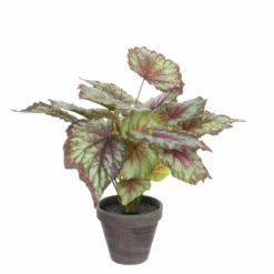 Planta Artificial BEGONIA Marca MYCA