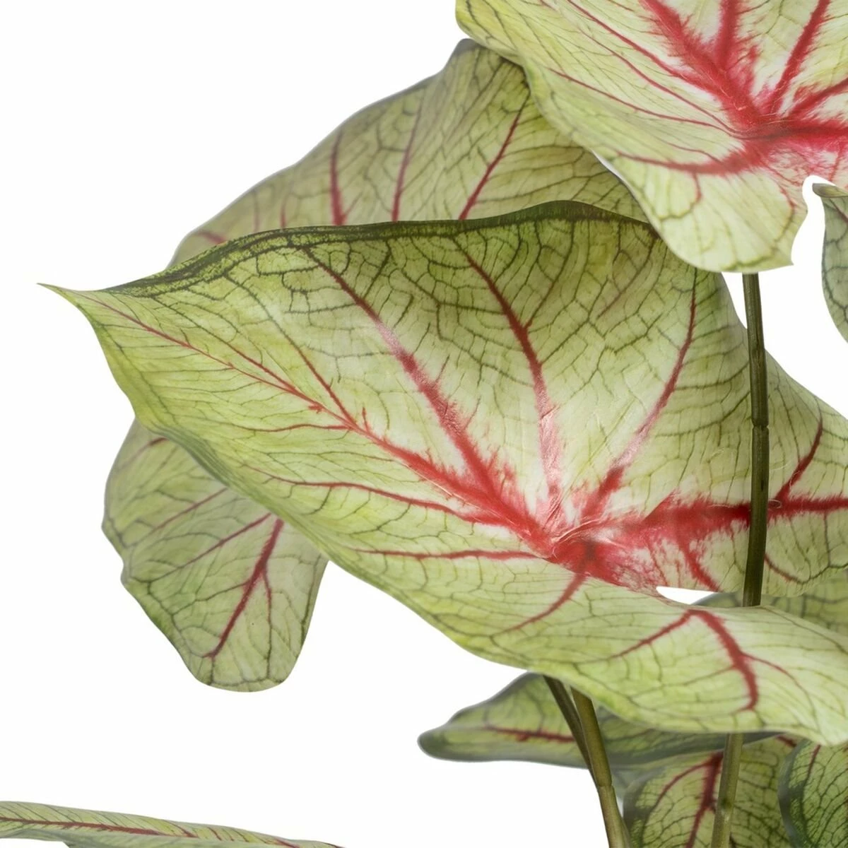 Planta Decorativa Rojo Verde PVC 40 X 35 X 55 Cm 2 Planta Decorativa Rojo Verde PVC 40 X 35 X 55 Cm - Imagen 2