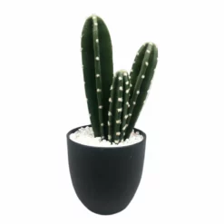 Surtido Planta Artificial CACTUS COLORADO