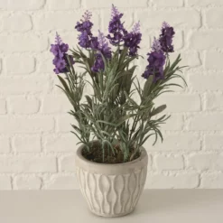 PLANTA EN MACETA LAVENDEL