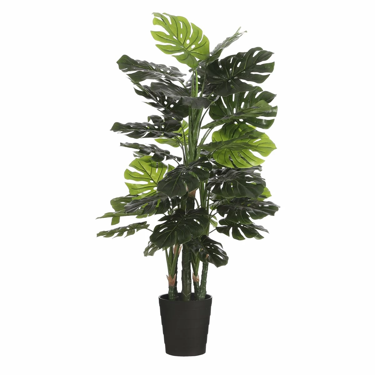 Planta Artificial MONTSERA Marca MYCA 1 Planta Artificial MONTSERA Marca MYCA