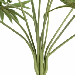 Rama 60 X 60 X 64 Cm Verde PVC -Conforama Tienda de ventas 420eca1bfe41e4456307c72e6b8cd970f6701658 c289f3a4138c432aba72352d47f8f360