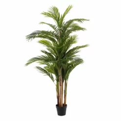 Planta Decorativa Areca Verde 189 Cm