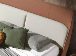 Cama De Matrimonio Tapizada En Polipiel Marrón Y Gris Claro. Estrcutura De Patas En Acero Inoxidable Color Negro Acabado Mate. Incluye Un Somier Multilamas De Madera De Pino. -Conforama Tienda de ventas 5d10775e8c9a225a9c24692514e2c3114fe23e0b 0306eea46c9d4ef396f4b995815c029c