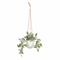 Planta Decorativa 24 X 35 X 25 Cm Blanco Verde PVC