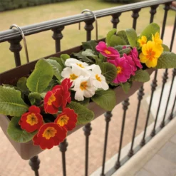 Jardinera 60 Cm Con Soporte De Fijación Curvo -Conforama Tienda de ventas 6e2801b8d11e938474dae31635e42ca5bddd0b54 67f496abcbbc419497c5d78b92ee76b9