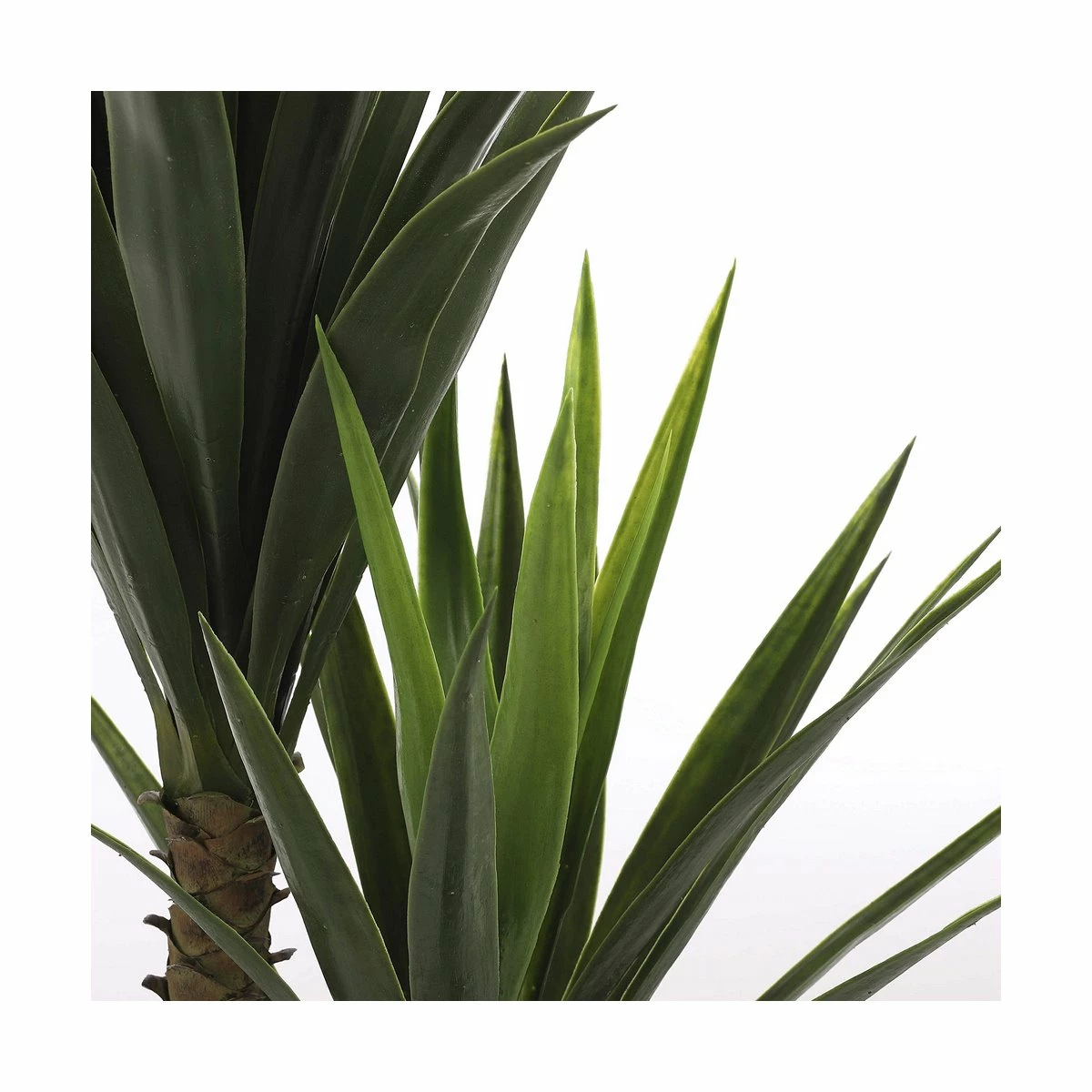 Planta Decorativa Mica Decorations Yucca (120 X 60 Cm) 2 Planta Decorativa Mica Decorations Yucca (120 X 60 Cm) - Imagen 2