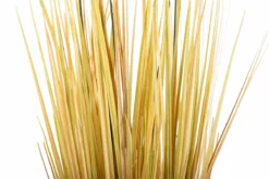 Centro Plumeros 27x27x84 Cm -Conforama Tienda de ventas d25f1fdd04b620d7439f2b1e1b30833dbd8ff5fd 8c3dbe6f8c30422387e6d97f1b2f8935