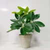 Planta Artificial Con Maceta EMIL