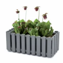 Prosperplast Jardinera Para Balcón BOARDEE FENCYCASE, Dimensiones (mm) 580x180x162, Color Gris Piedra -Conforama Tienda de ventas e045dccf79b00b708ca6c7fb785ce60bfeaeebb1 b2a6950a27354dab82db87cb092627ee