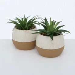 ALOE VERA LOVIO SURTIDO