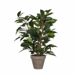 Planta Artificial FICUS Verde Oscuro Marca MYCA